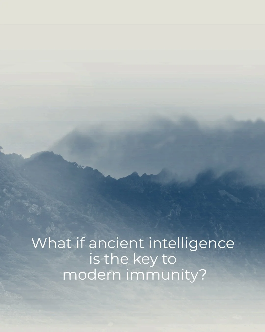 Winter wellness starts from within. ❄️✨

Join FLOK NYC for Immune Health for Modern Life, a 90-minute seminar blending the science of Western medicine with the wisdom of Chinese Medicine to help you feel clear, steady, and resilient all season long.
