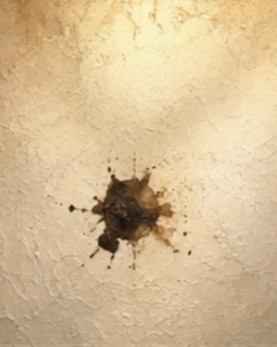 The Stain