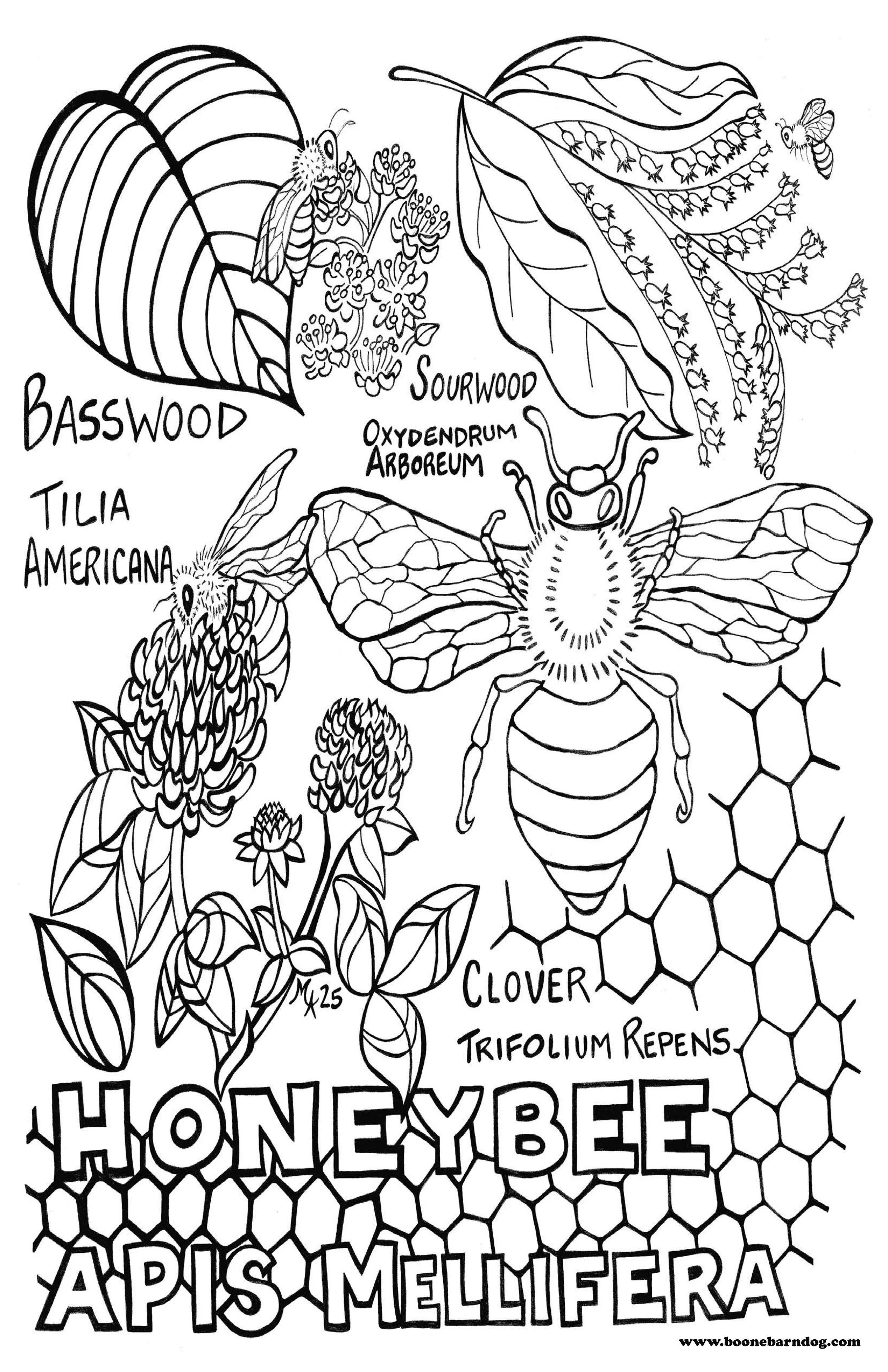 Honey Bee 11x17_poster_.jpg