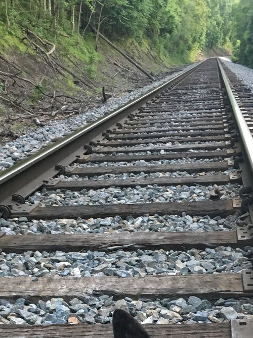 Making Tracks
