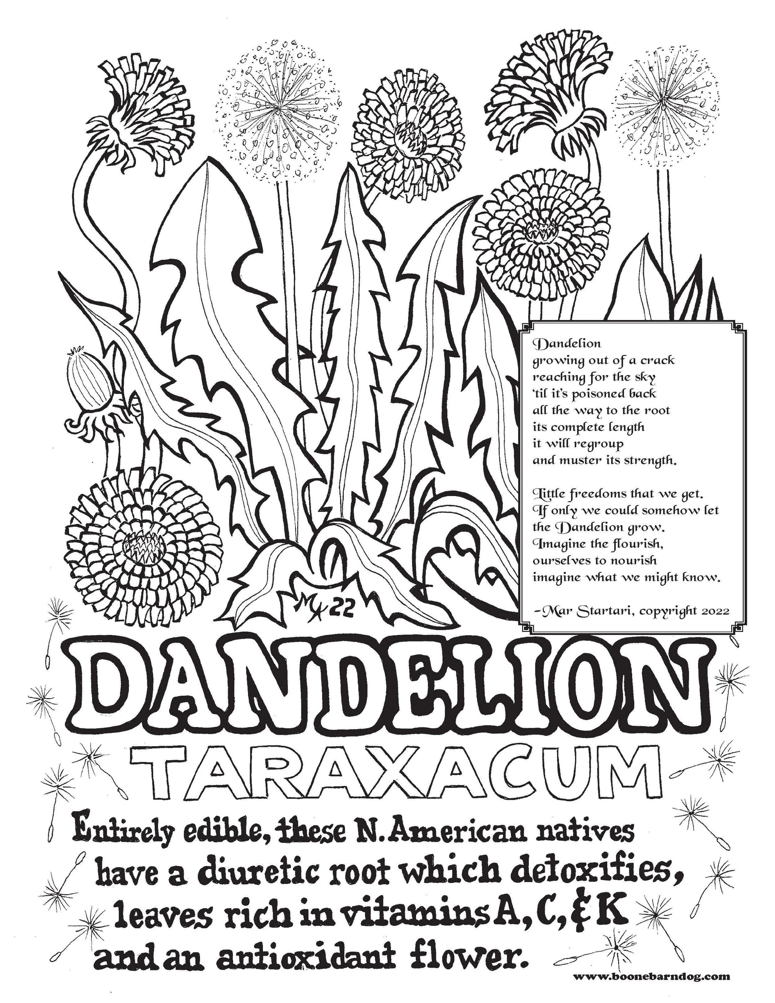 Dandelion with Poem - "Print-at-Home" Poster