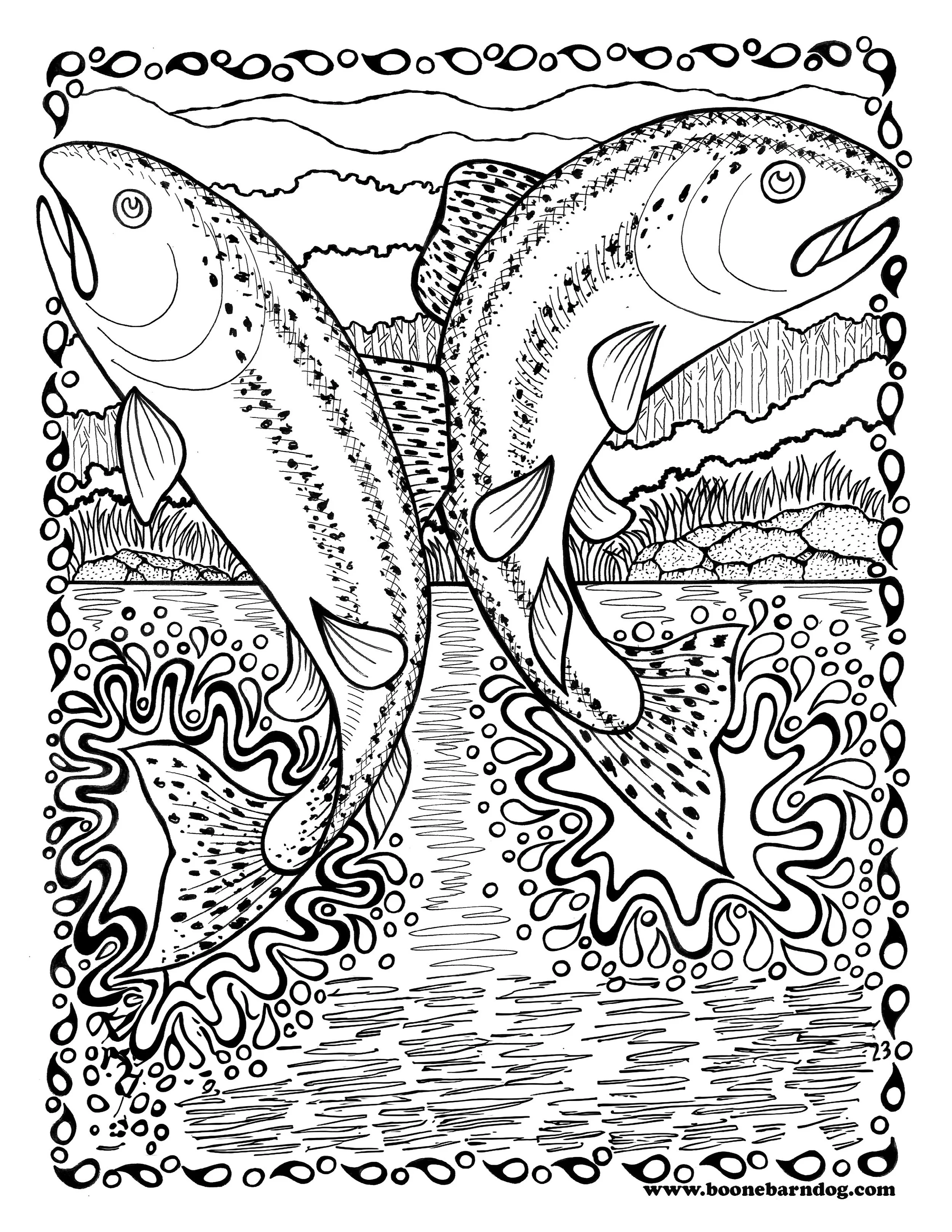Rainbow Trout - "Print-at-Home" Poster