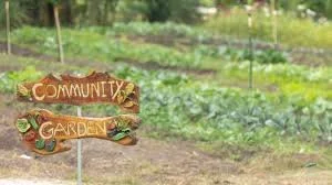 Wooden signs reading 'Community Garden' in a garden with plants and greenery in the background.