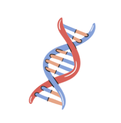  Biological Constraints