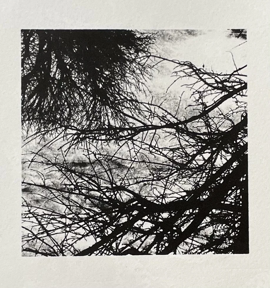 Winter tree
(Lithograph)