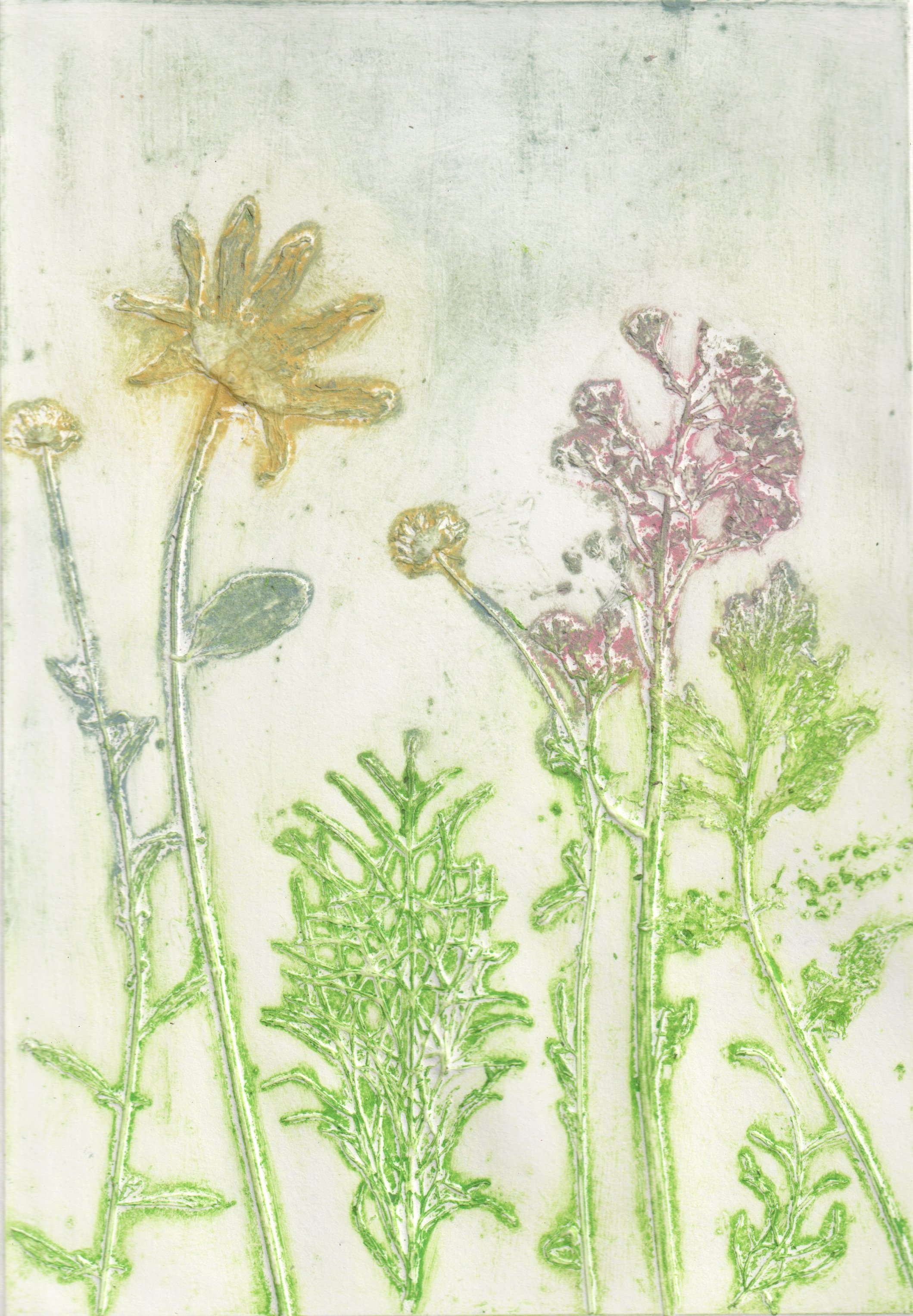 Flower impressions (Collagraph)