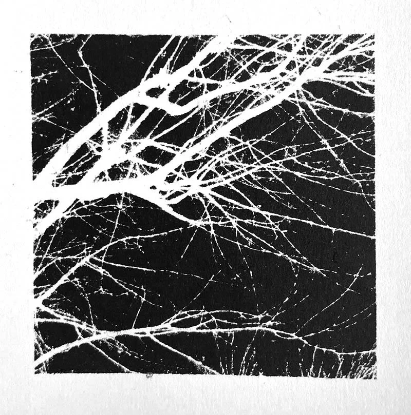 Skeleton tree
(Lithograph)