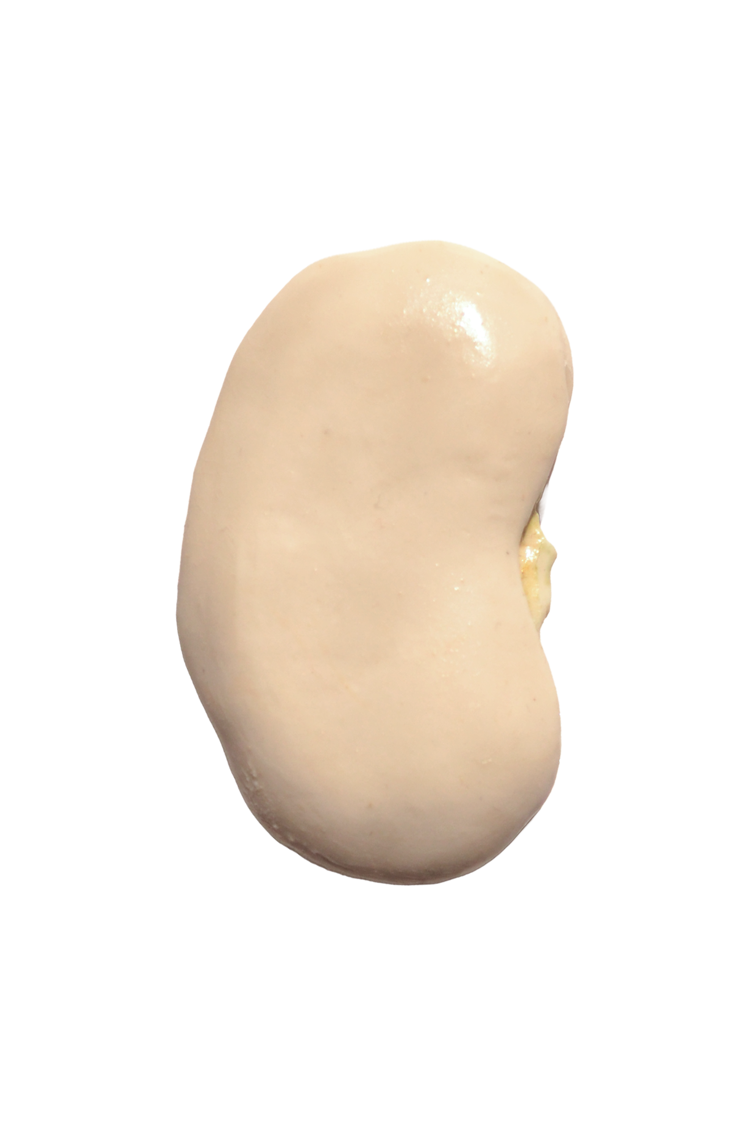 The Butter