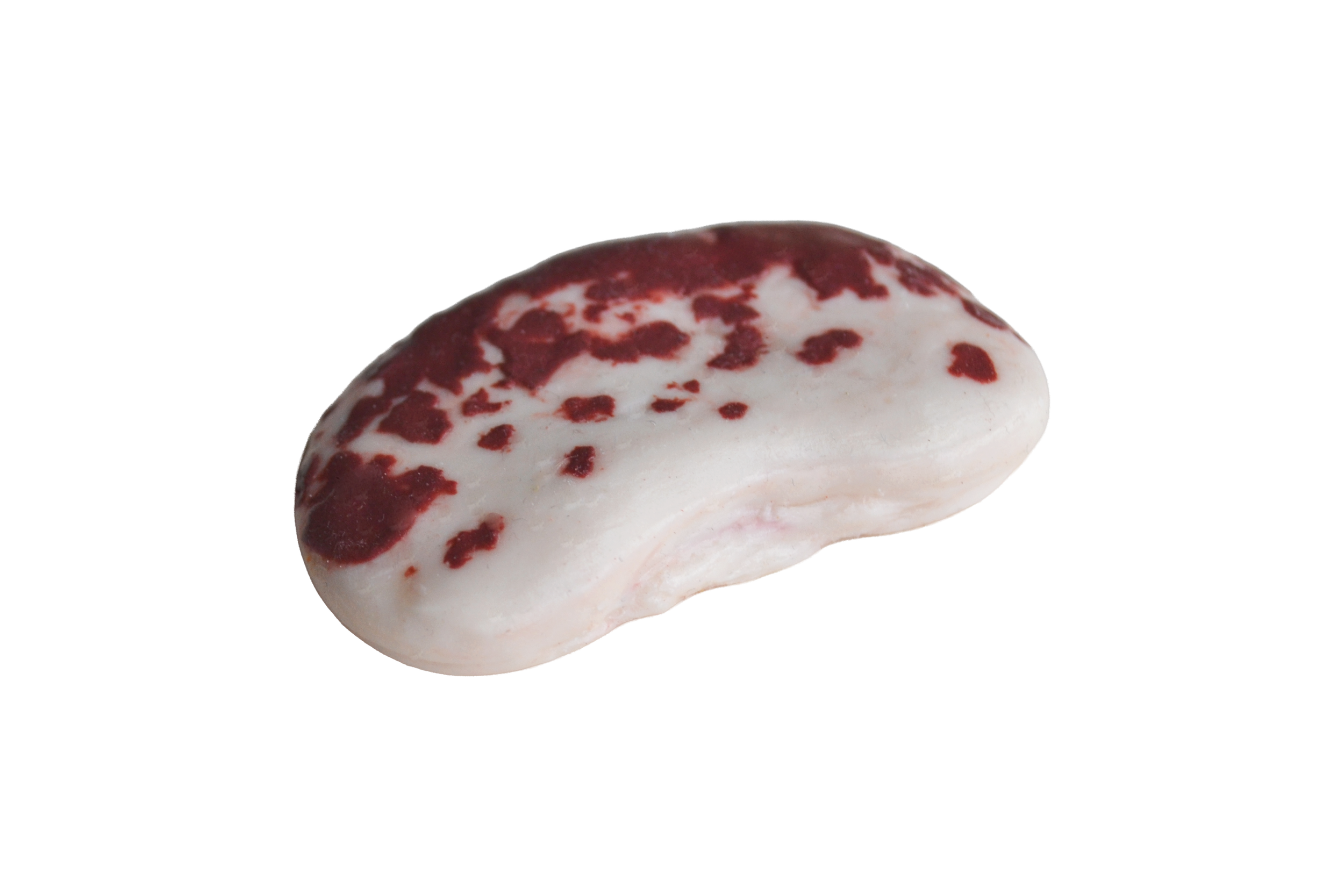 borlottiside23.png