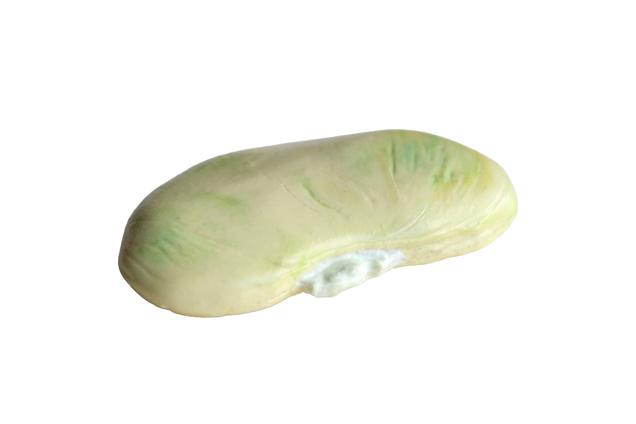 limaside.png