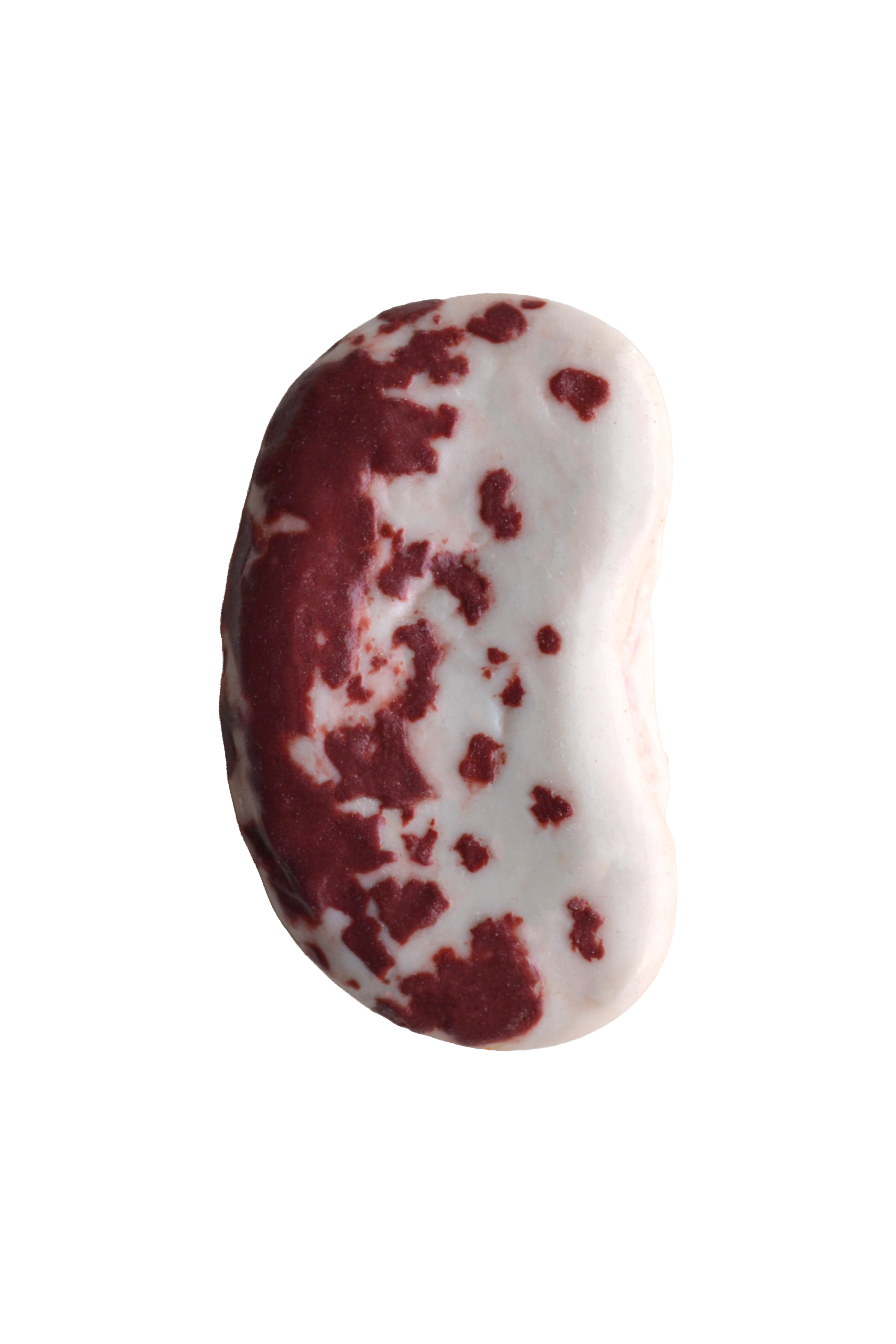 The Borlotti