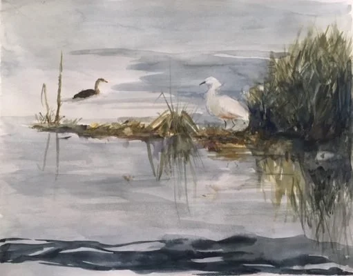 pond-birds-1.jpeg