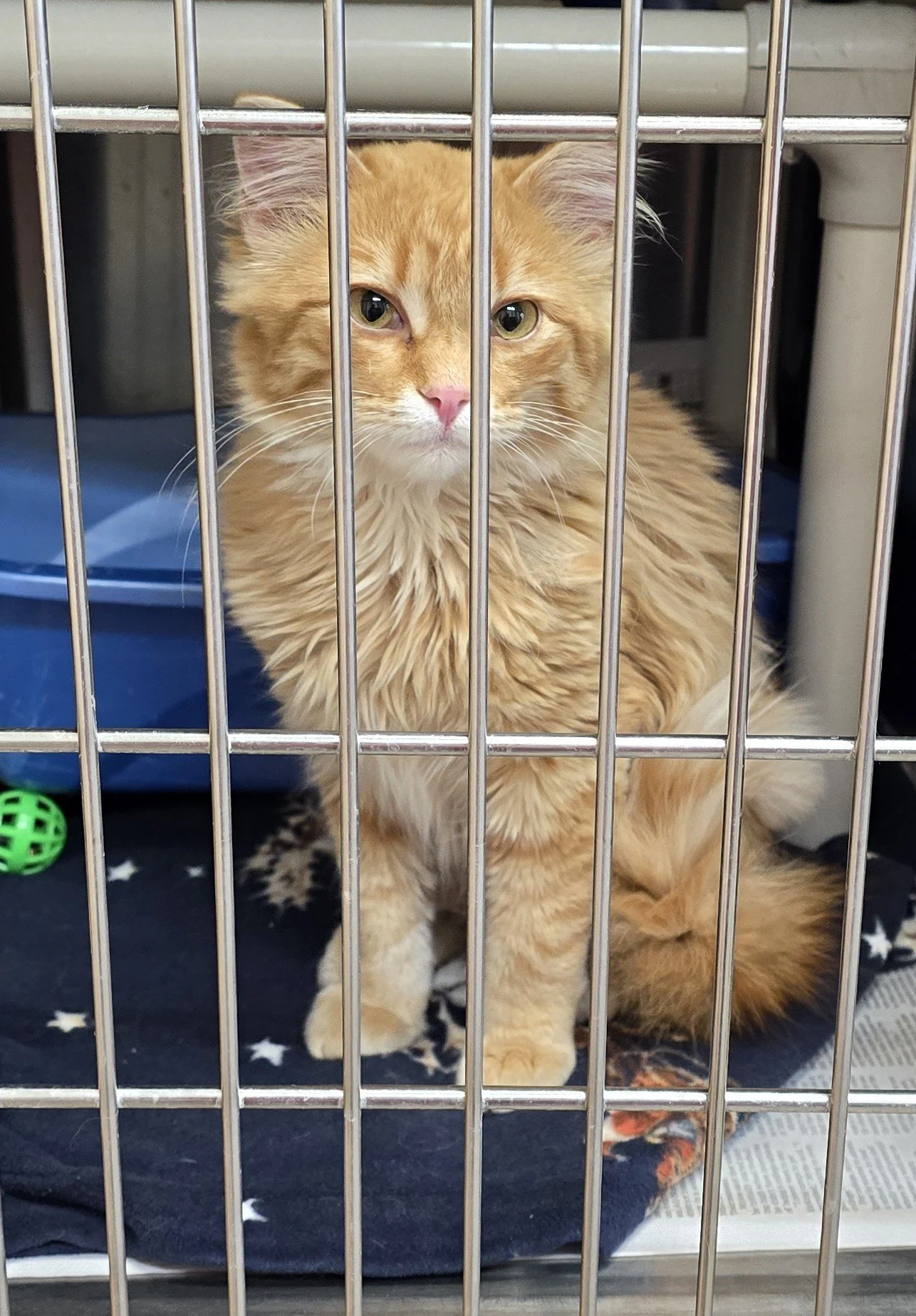 20260319_185236 (1).jpg