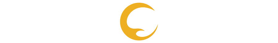 Creative Wingman Logo