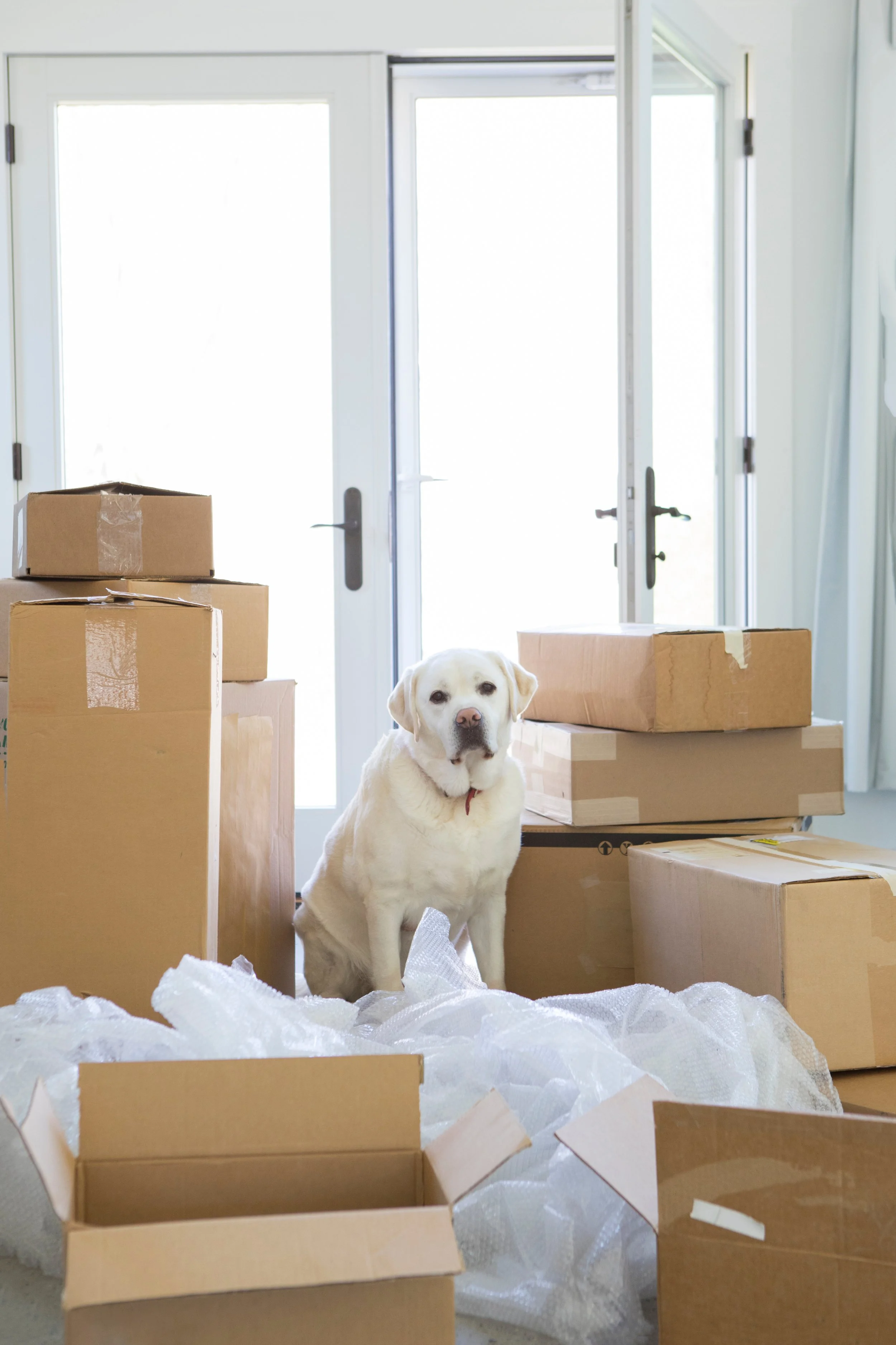 Editing Explained - Part One