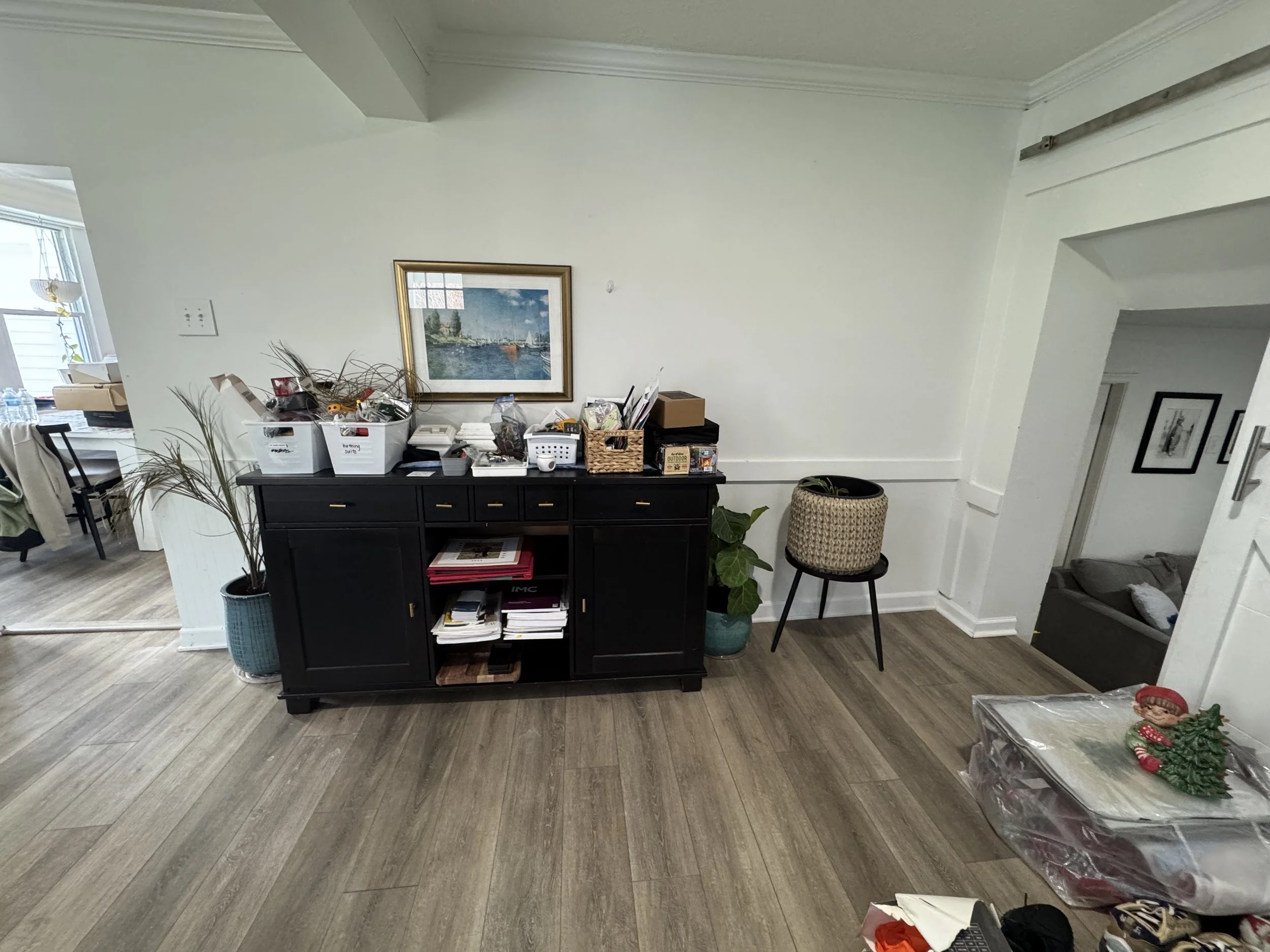 professional_whole_home_organizer_annapolis_md_1181.jpeg