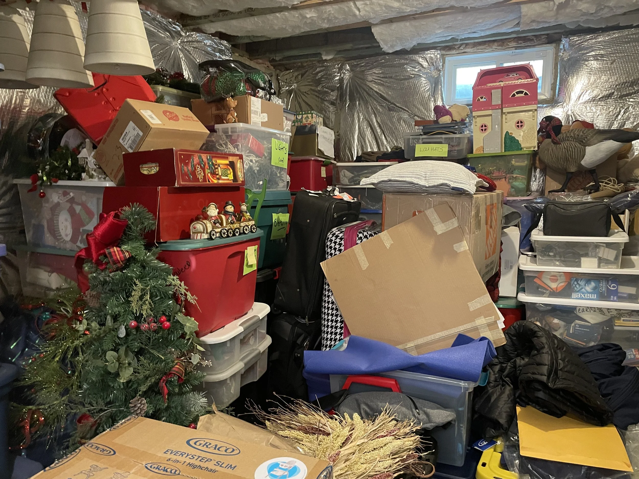 Professional_organizing_annapolis_md 12.jpeg
