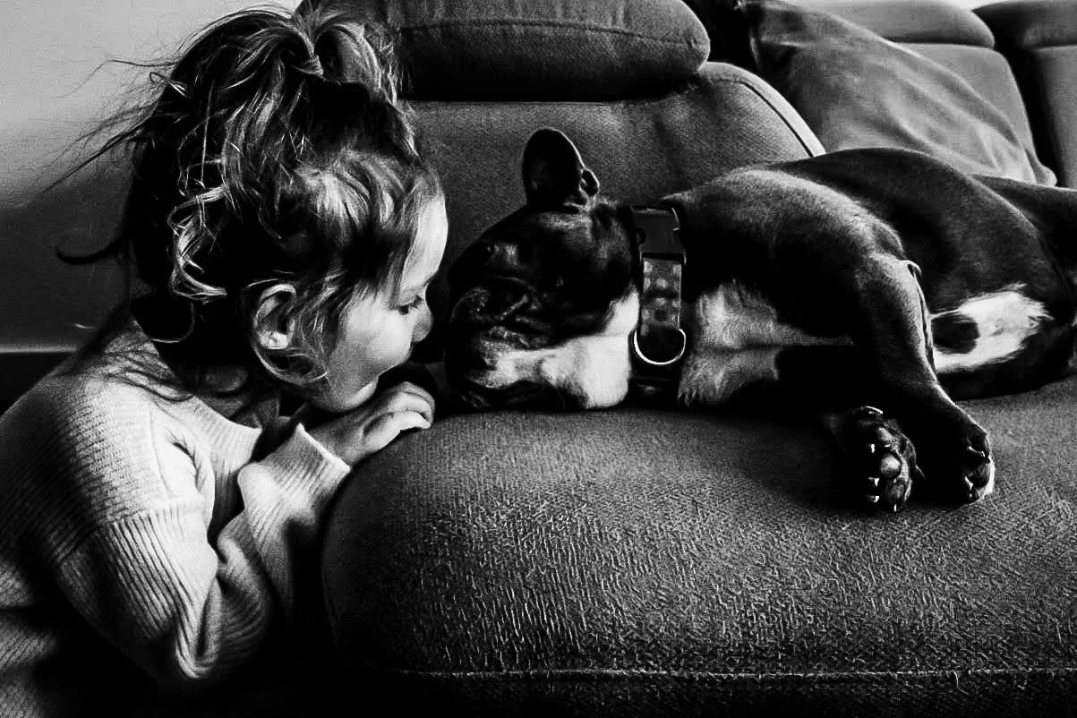 best of franklin family 35.JPG