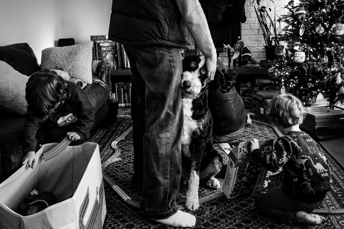 YITL portfolio March 2026_044.JPG