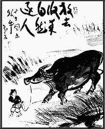 oxen time...