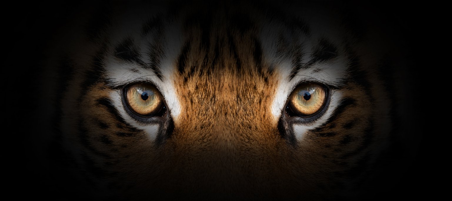 What’s In Your Cage?