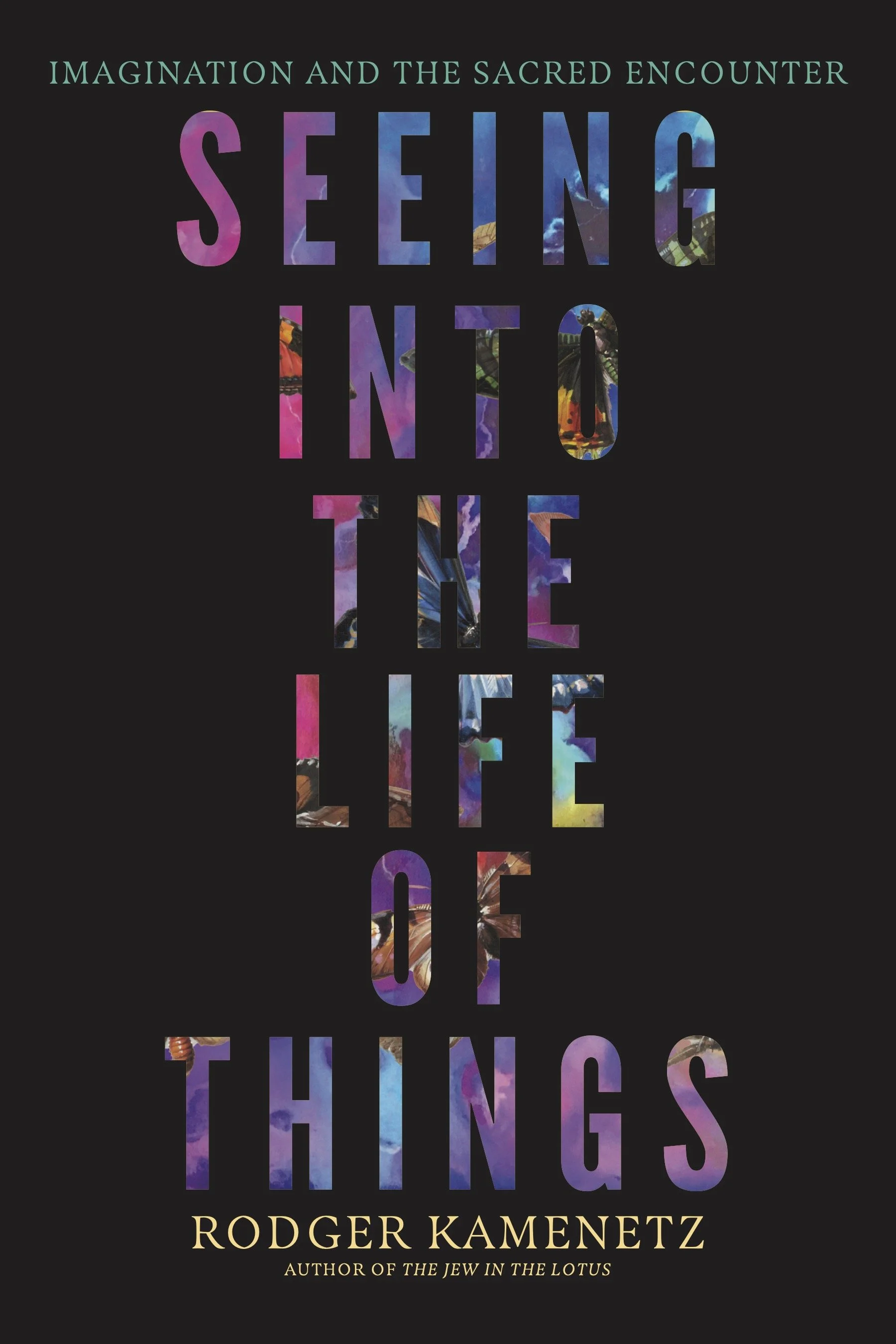 Rodger Kamenetz and Seeing Into The Life Of Things: Online Course