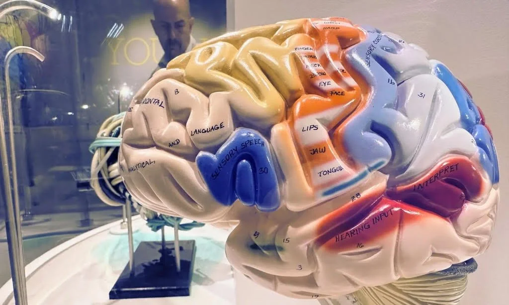 Dreamwork Trains Your Brain to Communicate in Image and Feeling