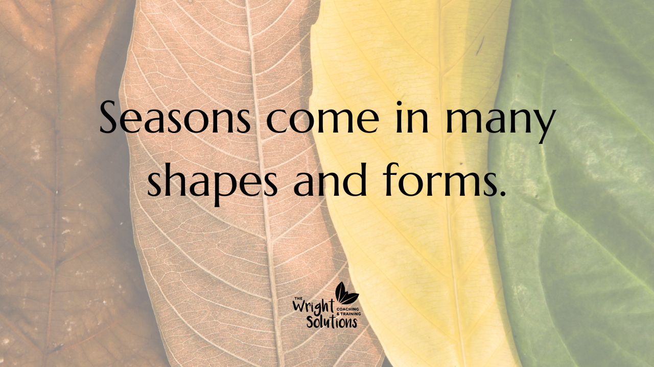 Seasons come in many shapes and forms.