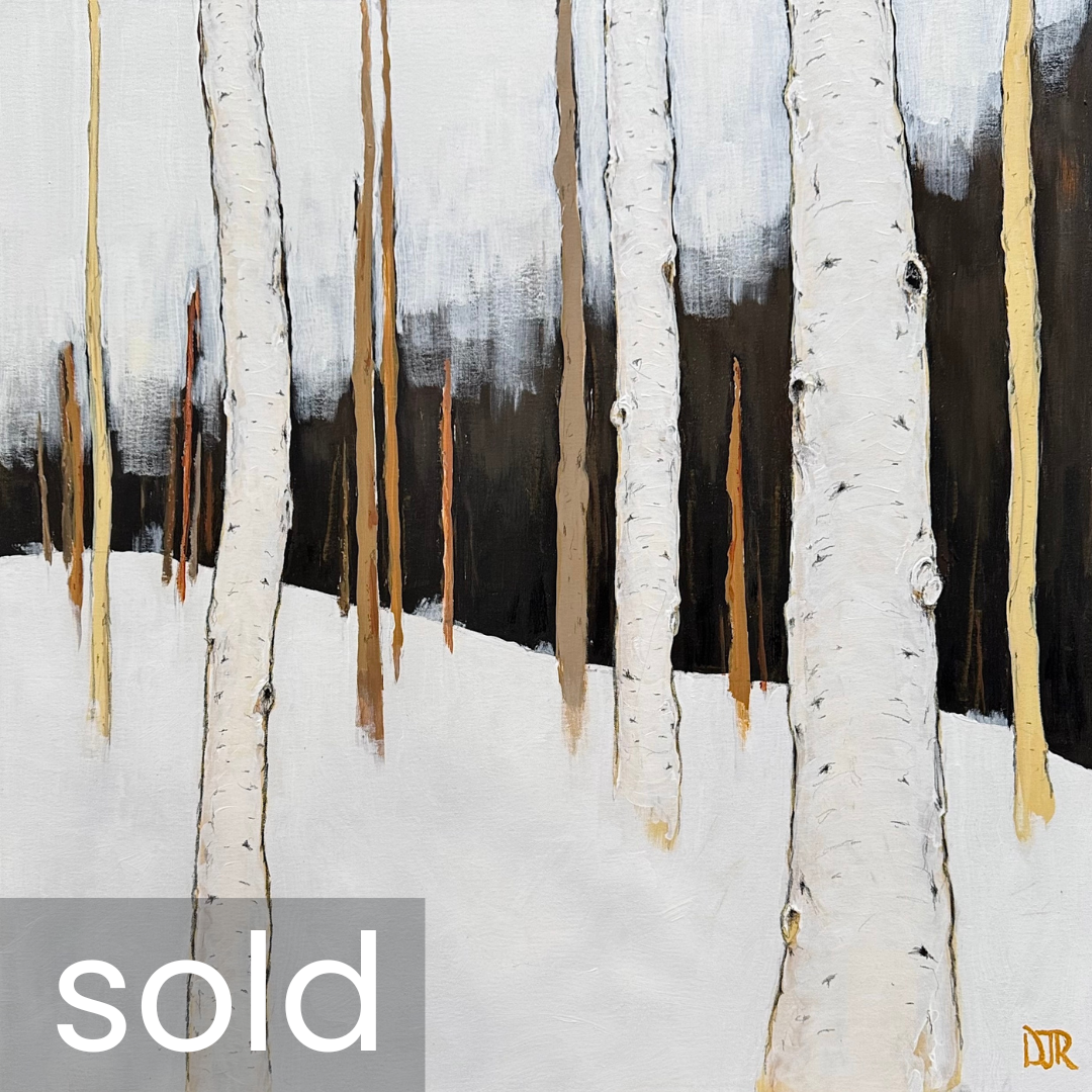 SOLD - 'winter birch grow silence 2' / 36" x 36" x 1.5" / Acrylic and Conté pencil on Canvas