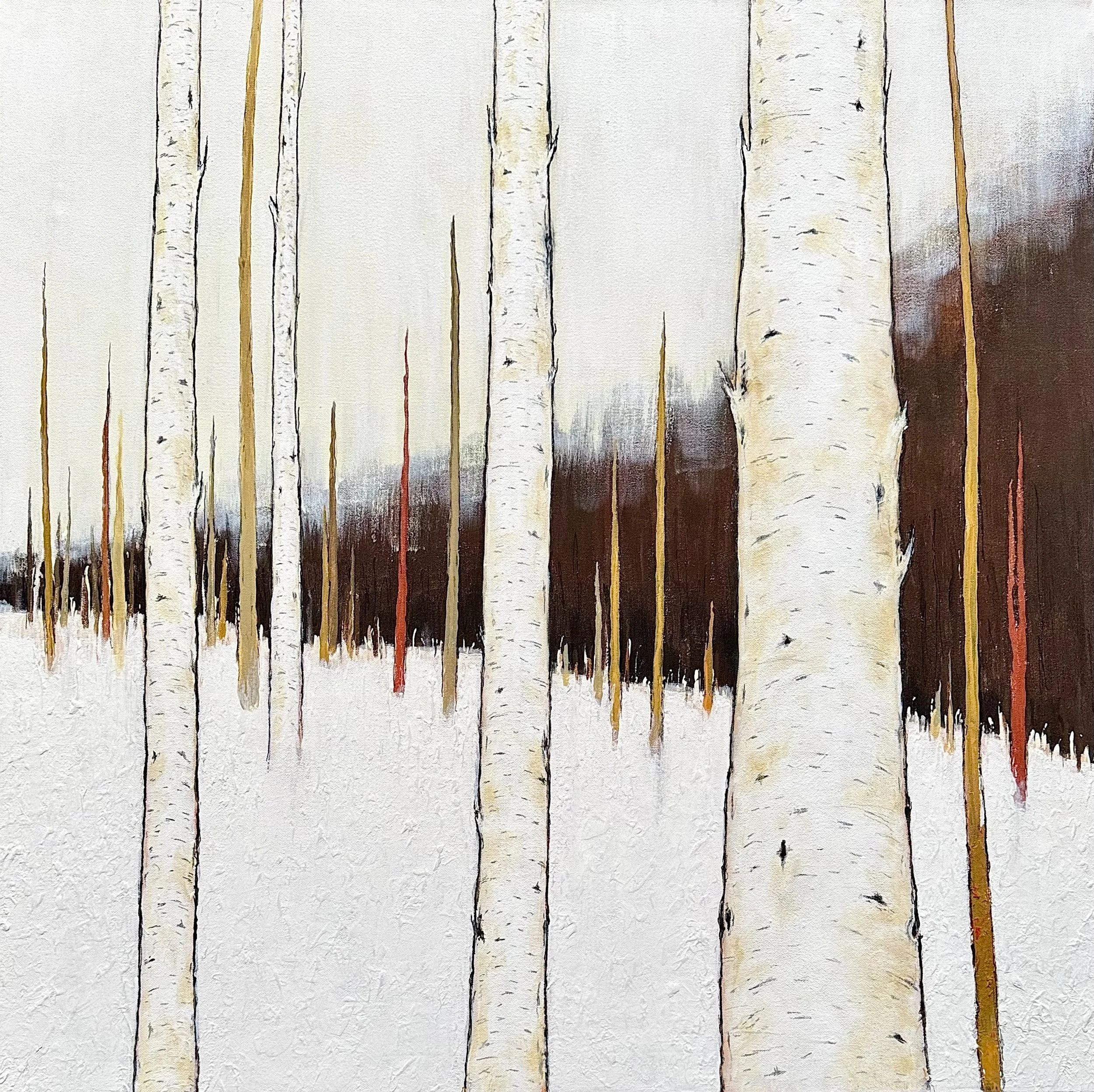 'winter birch stillness 11' / 36" x 36" x 1.5" / Acrylic and pencil on Canvas / FRAMED with Black Frame / Ojibway Club Show 2026