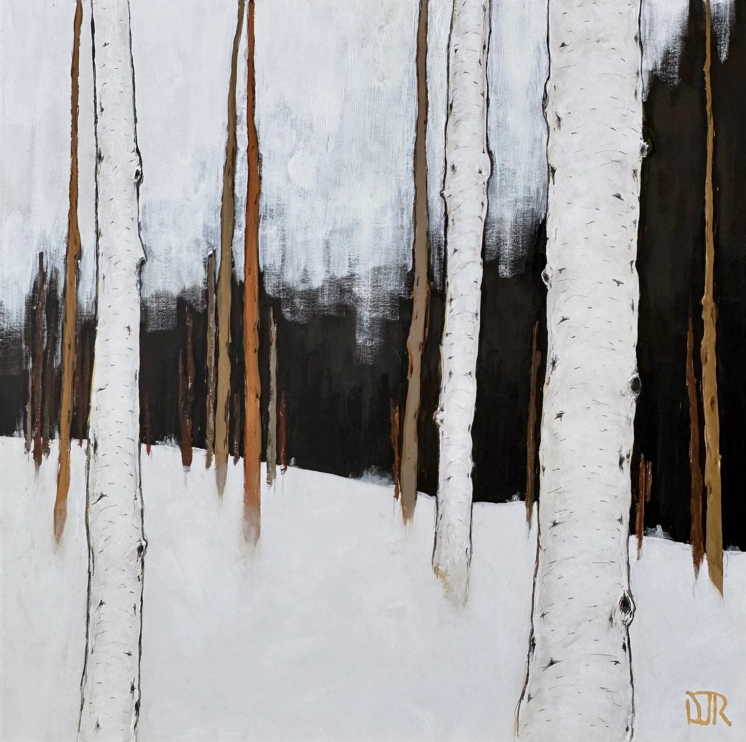 'winter birch stillness 5' / 36" x 36" x 1.5" / Acrylic and Conté pencil on Canvas