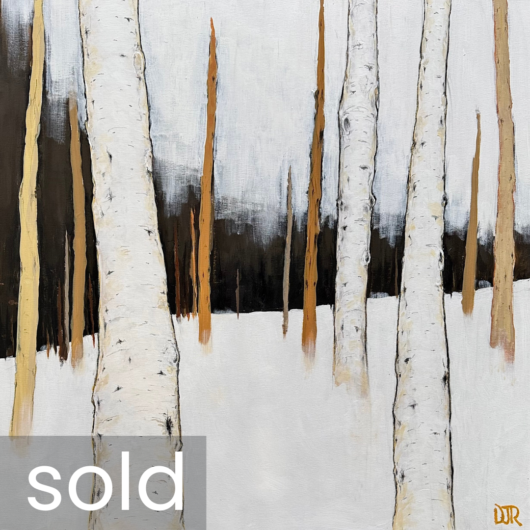 SOLD - 'winter birch grow silence 3' / 36" x 36" x 1.5" / Acrylic and Conté pencil on Canvas