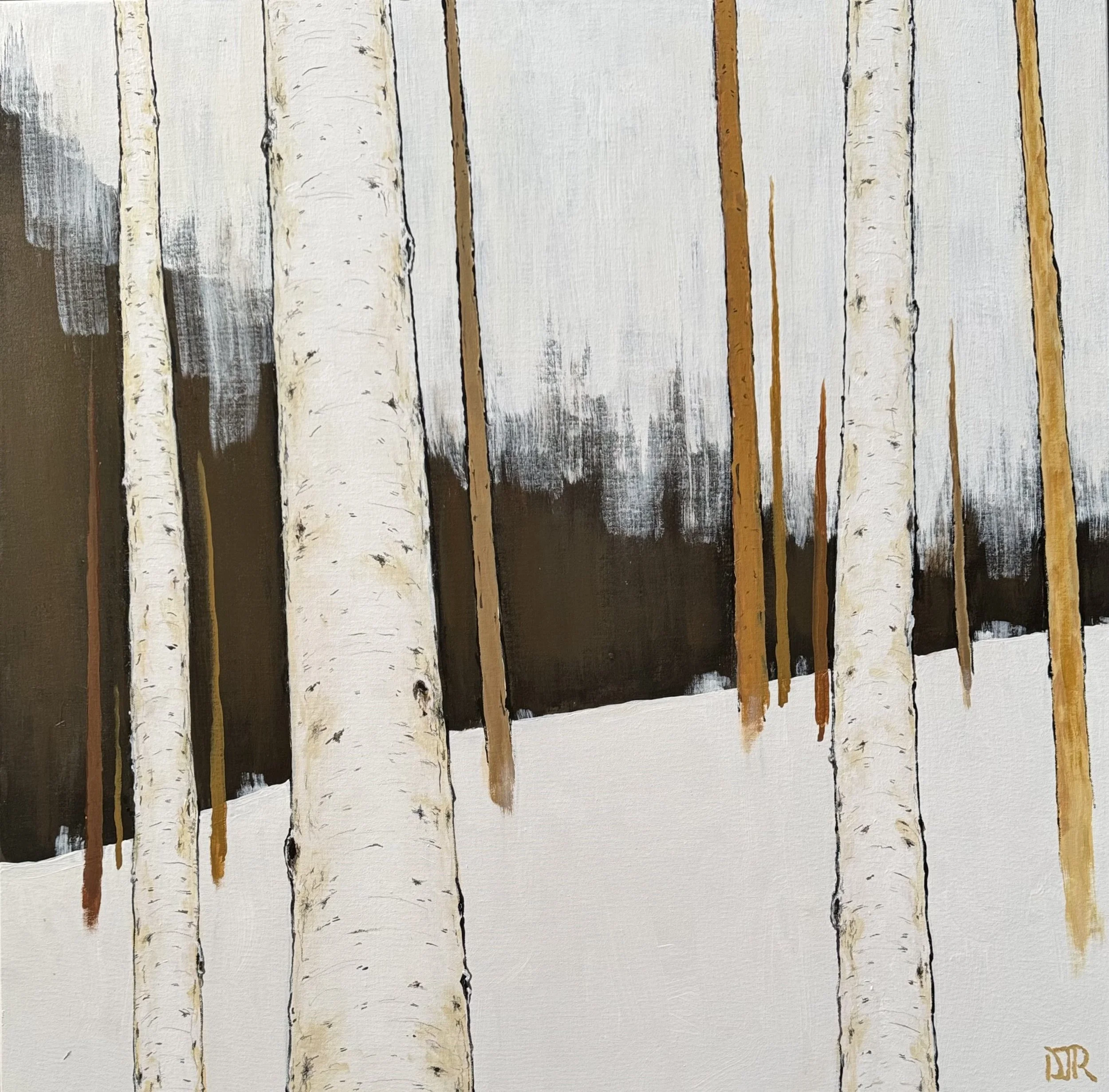 'winter birch stillness 8' / 36" x 36" x 1.5" / Acrylic and Conté pencil on Canvas