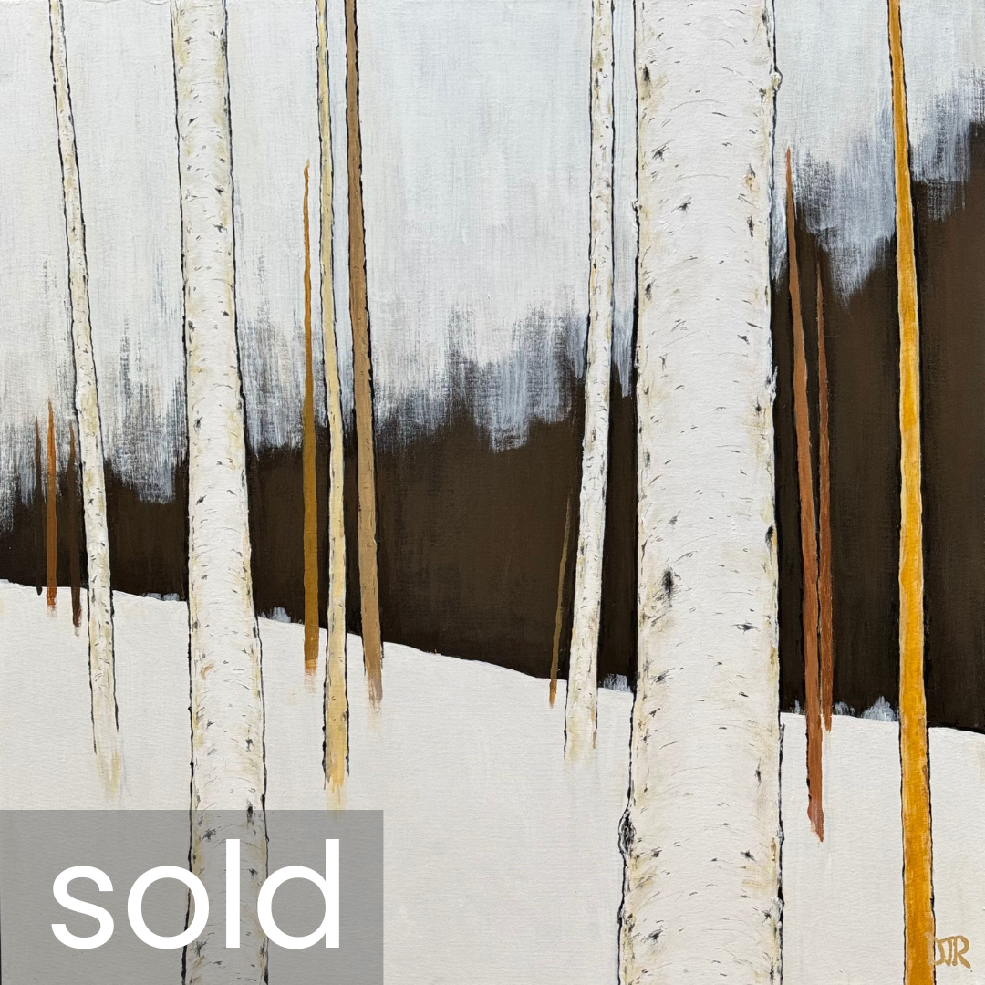 'winter birch stillness 7' / 36" x 36" x 1.5" / Acrylic and Conté pencil on Canvas