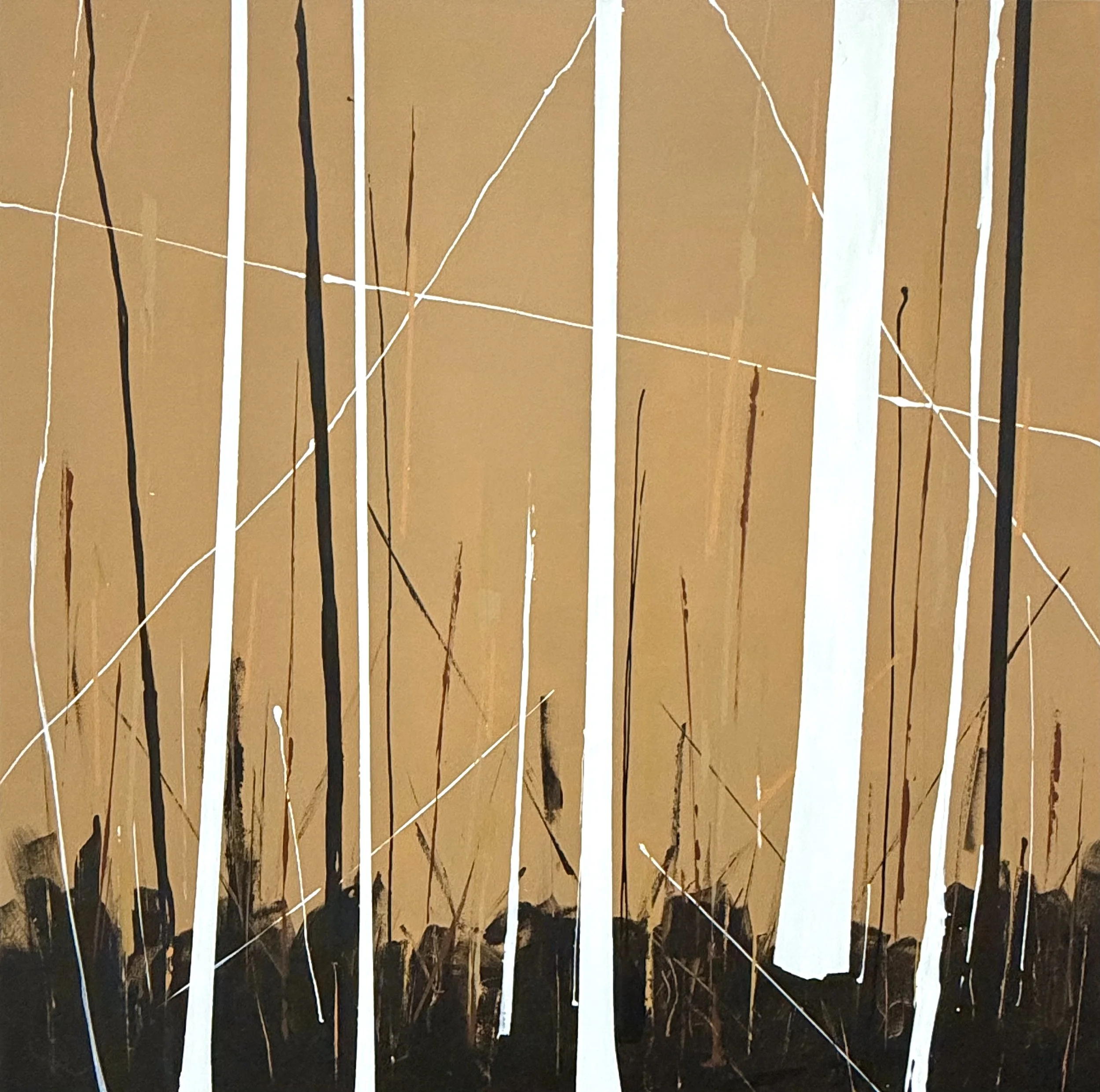 'autumn birch at twilight' / 40" x 40" x 1.5" / Acrylic on Canvas