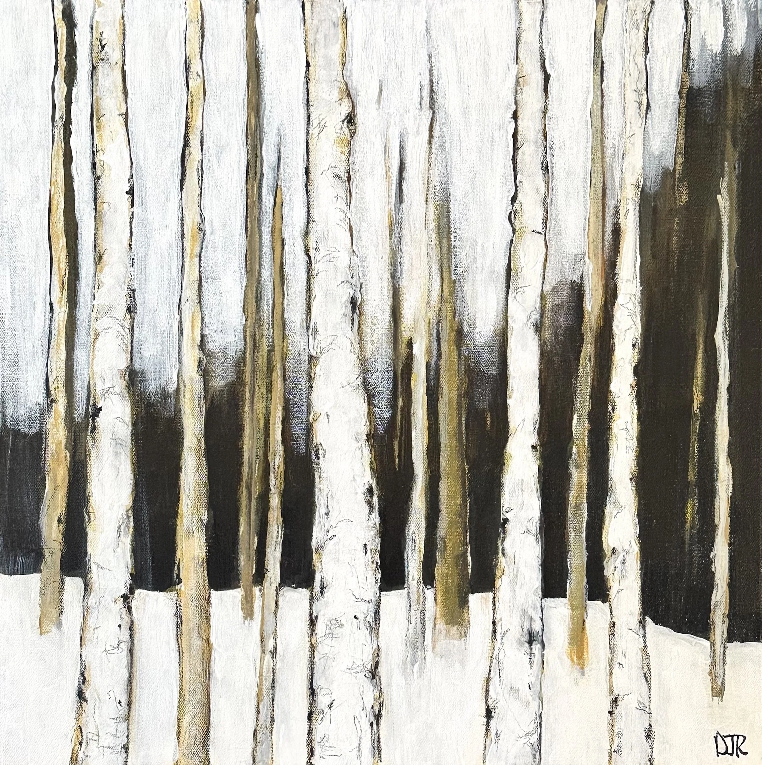 'winter birch solitude' / 20" x 20" x 1.5" / Acrylic and Conté pencil on Canvas