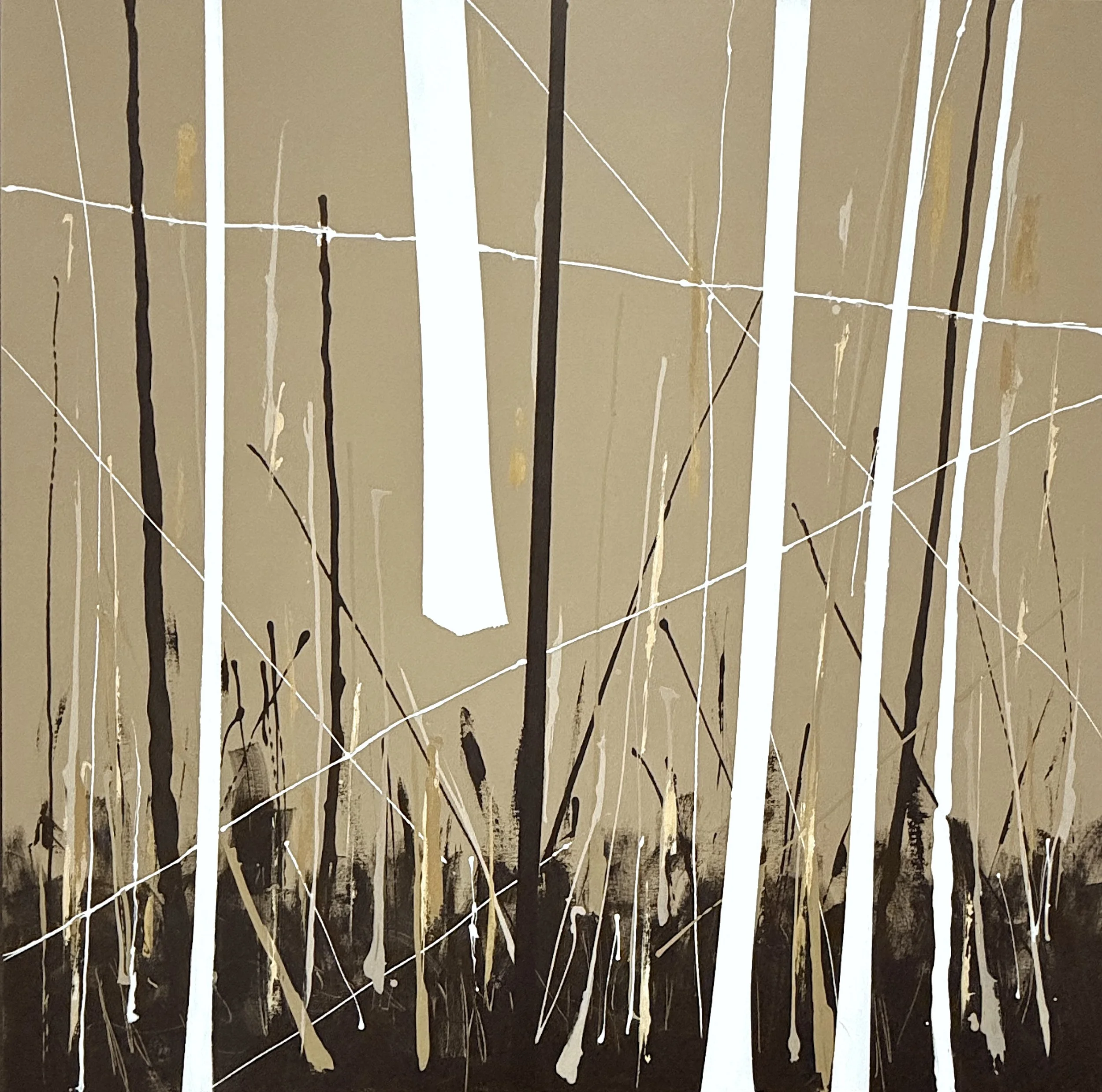 'birch trees and autumn's end' / 42" x 42" x 1.5" / Acrylic on Canvas