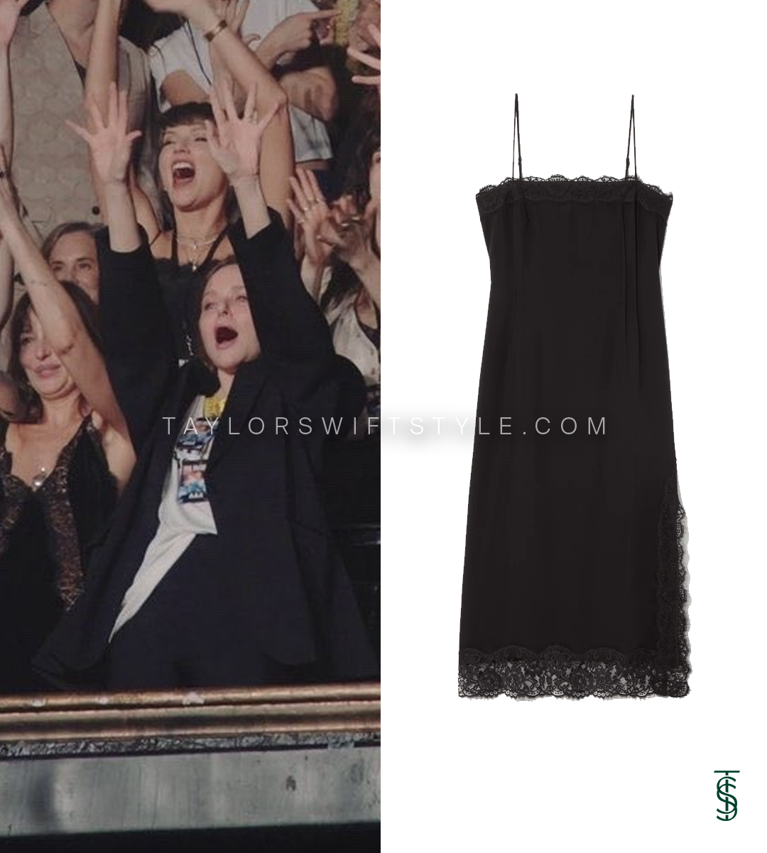 Paul McCartney Concert