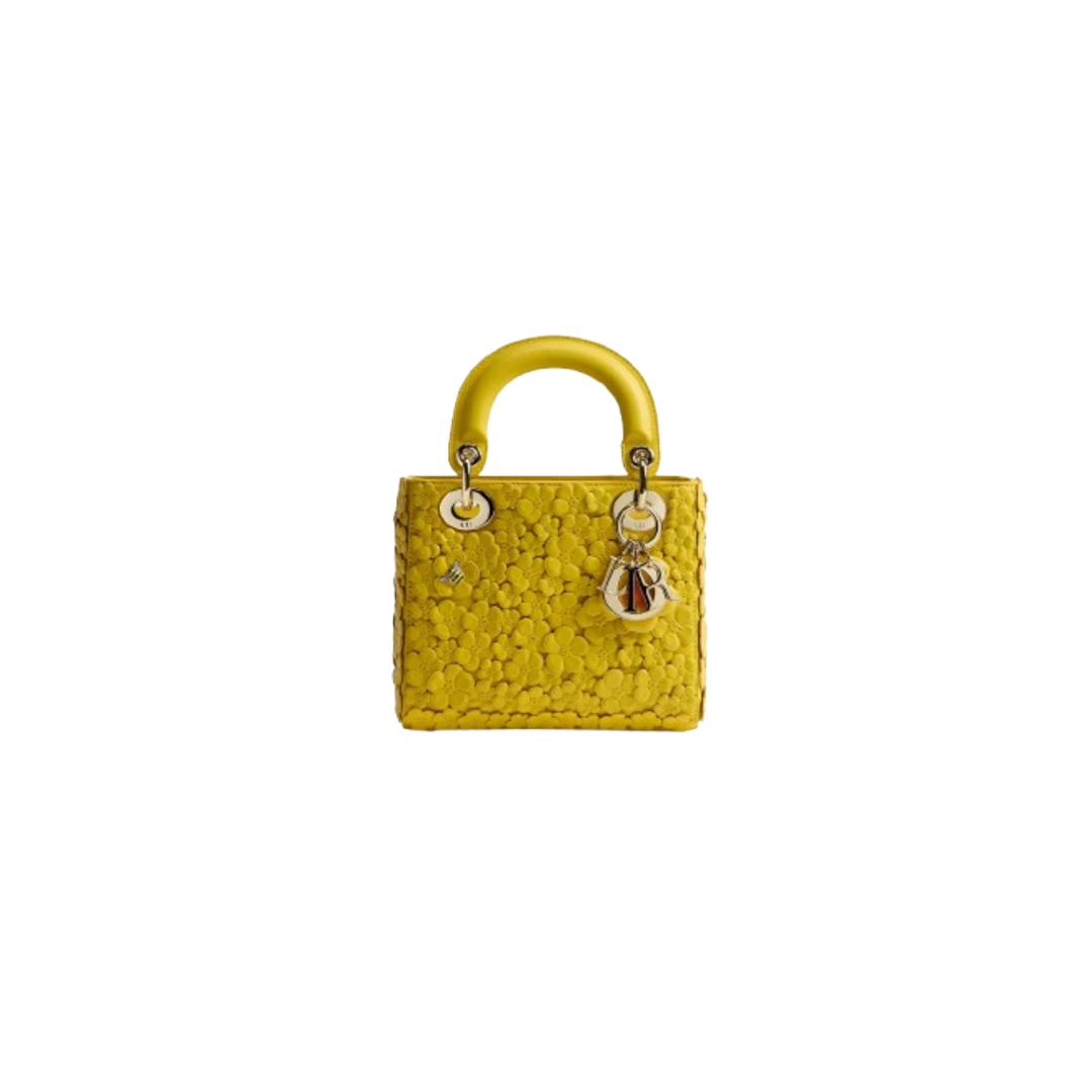 Mini Lady Dior Bag with Strap, $9,500