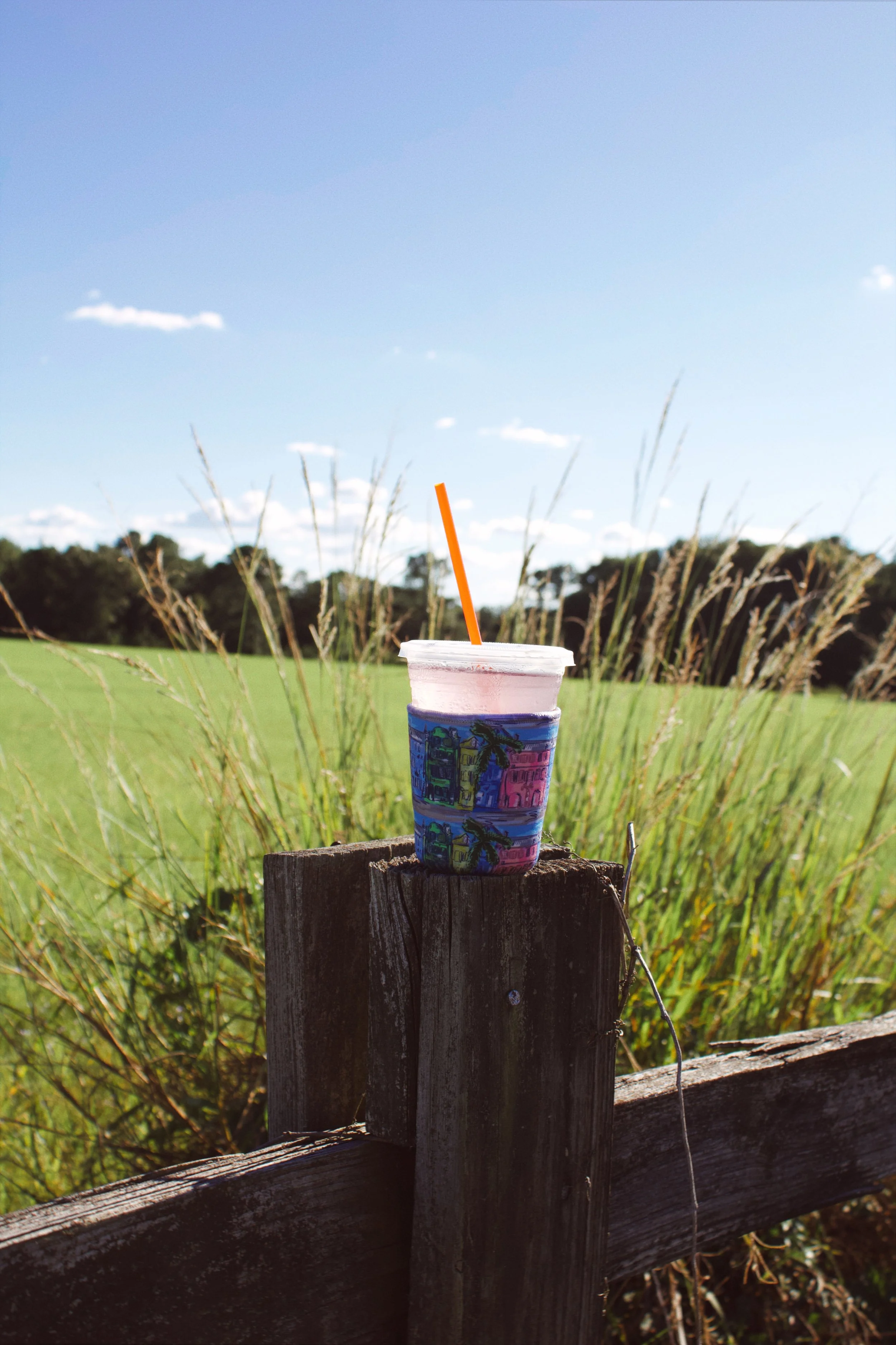 Rainbow Row Coffee Koozie