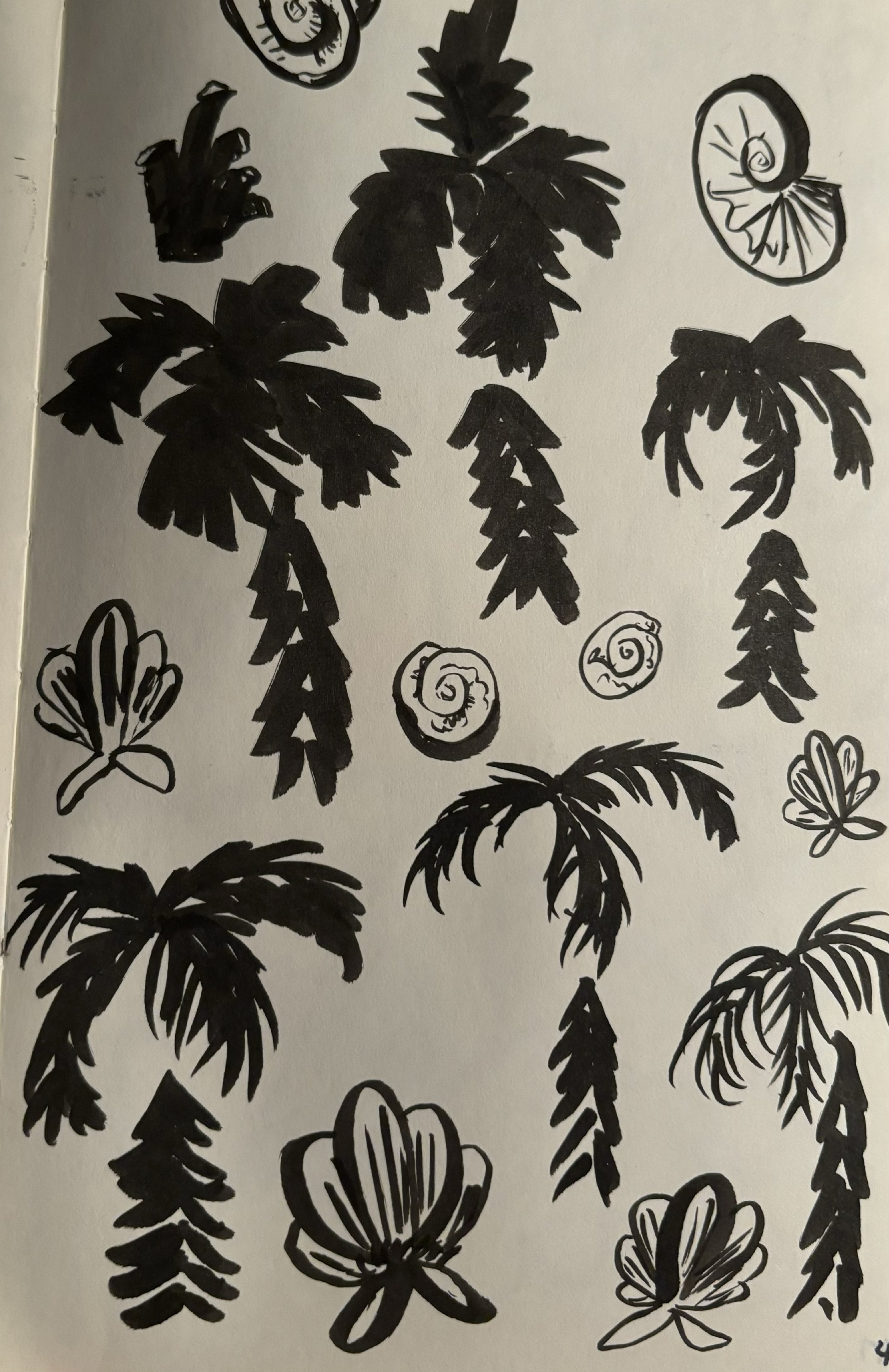 Sketches