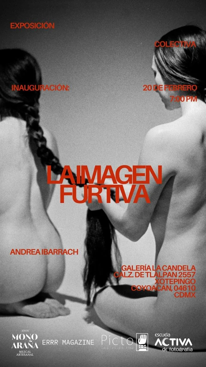 La Imagen Furtiva by Andrea Ibarrach
