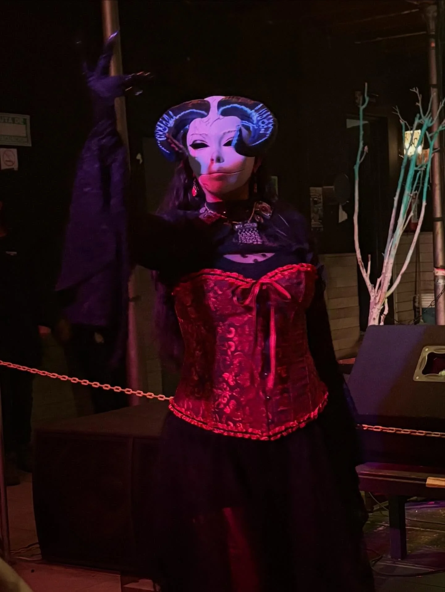 I had the most wonderful time at the last Vampire Festival in Mexico City 🖤

Incredible performances, fascinating conferences on vampire culture, and the most impressive vampire comic collection I&rsquo;ve ever seen. Truly a dream for any creature o