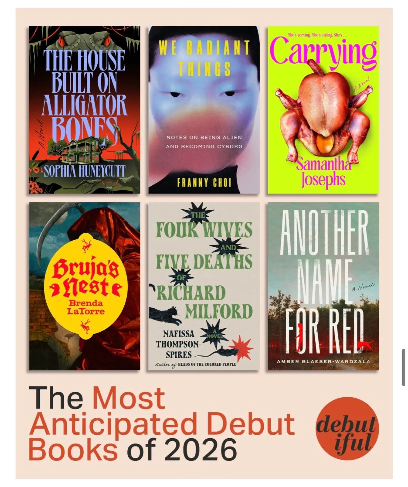 Thank you @debutiful for featuring Bruja&rsquo;s Nest!!!! And for this incredible review:

&ldquo;This book BLEW! ME! AWAY! It was so original and written with such fearlessness. I wouldn&rsquo;t be surprised if this is the talk of the town come this