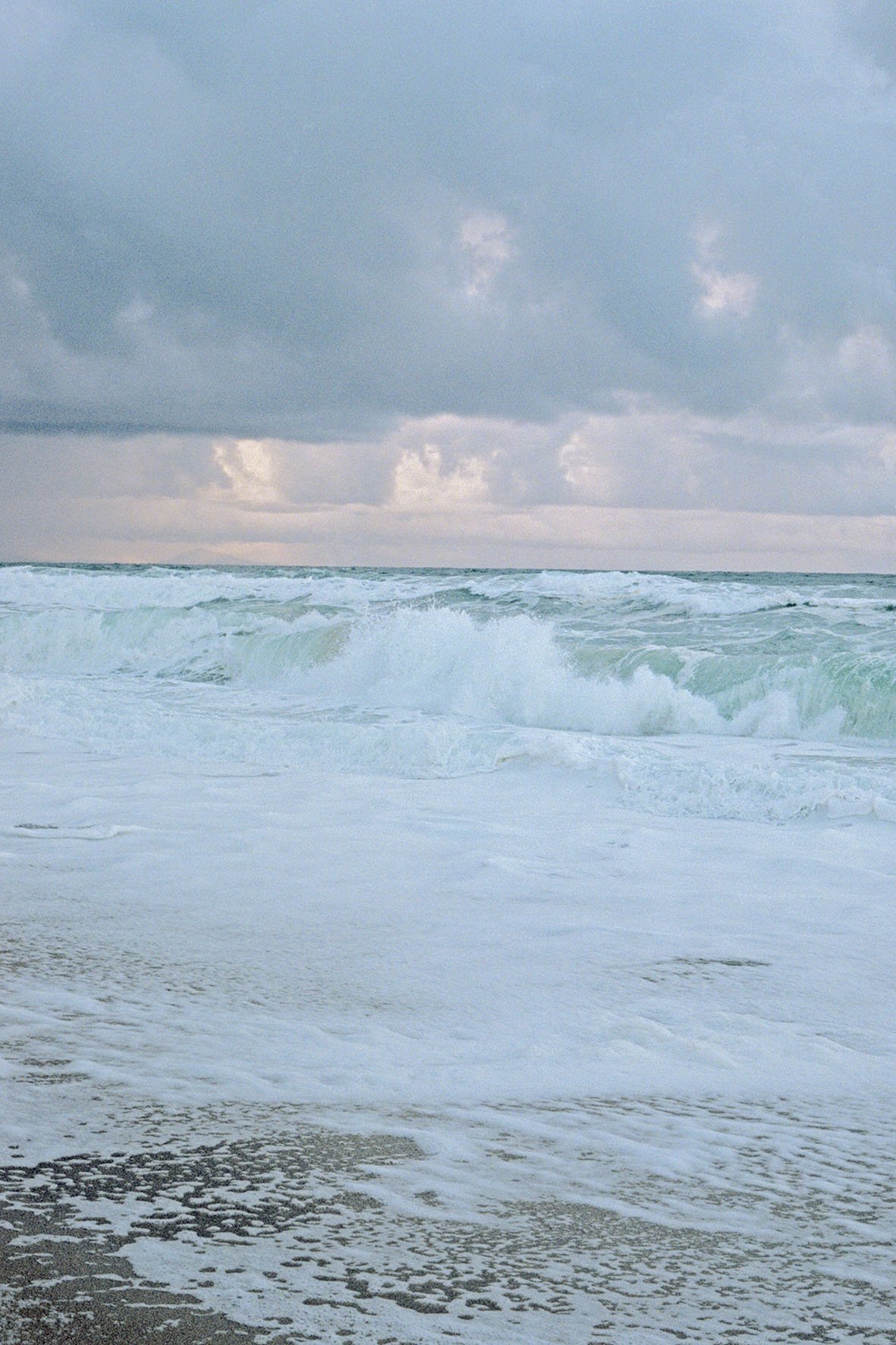 Zee I.jpg