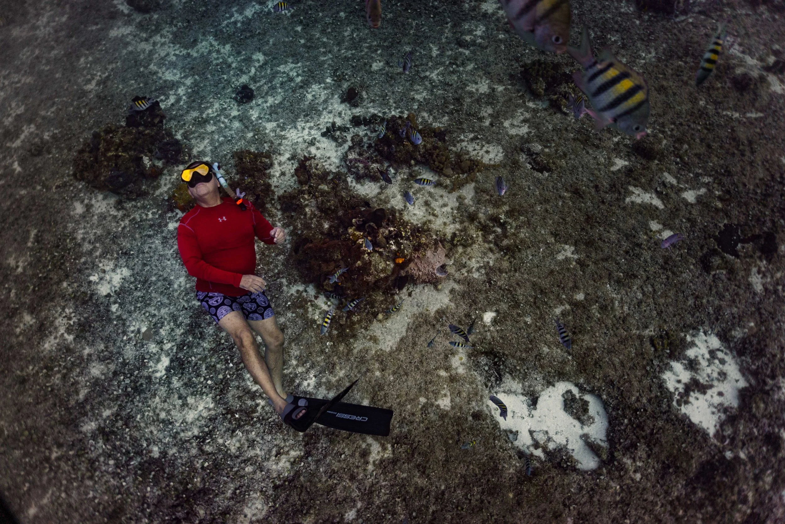 Underwater photo of a freediver at the bottom of the seafloor captured in the Caribbean Sea off the coast of Quintana Roo, Mexico.