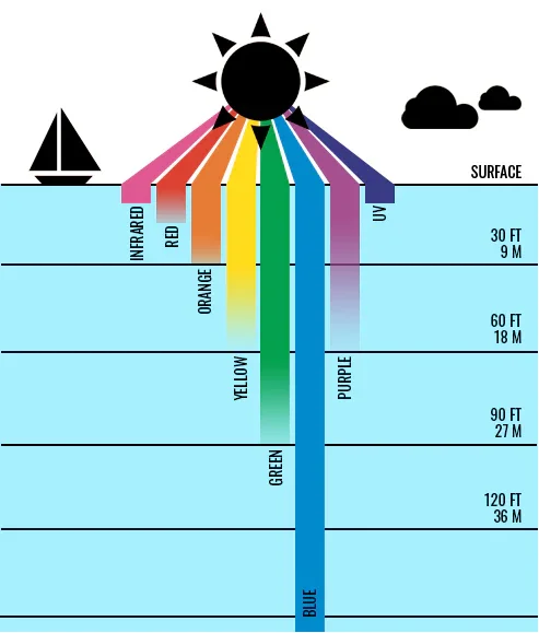Infographic depicting the loss of colour for underwater photography