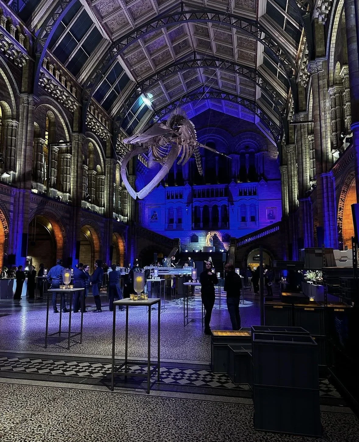 National History Museum Exhibition