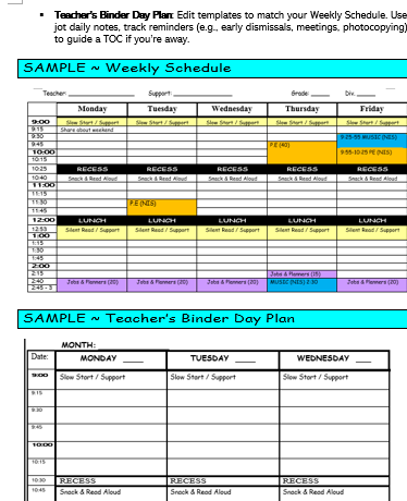 single Teacher Organization Kit Templates and Purpose TNAIL 4.PNG