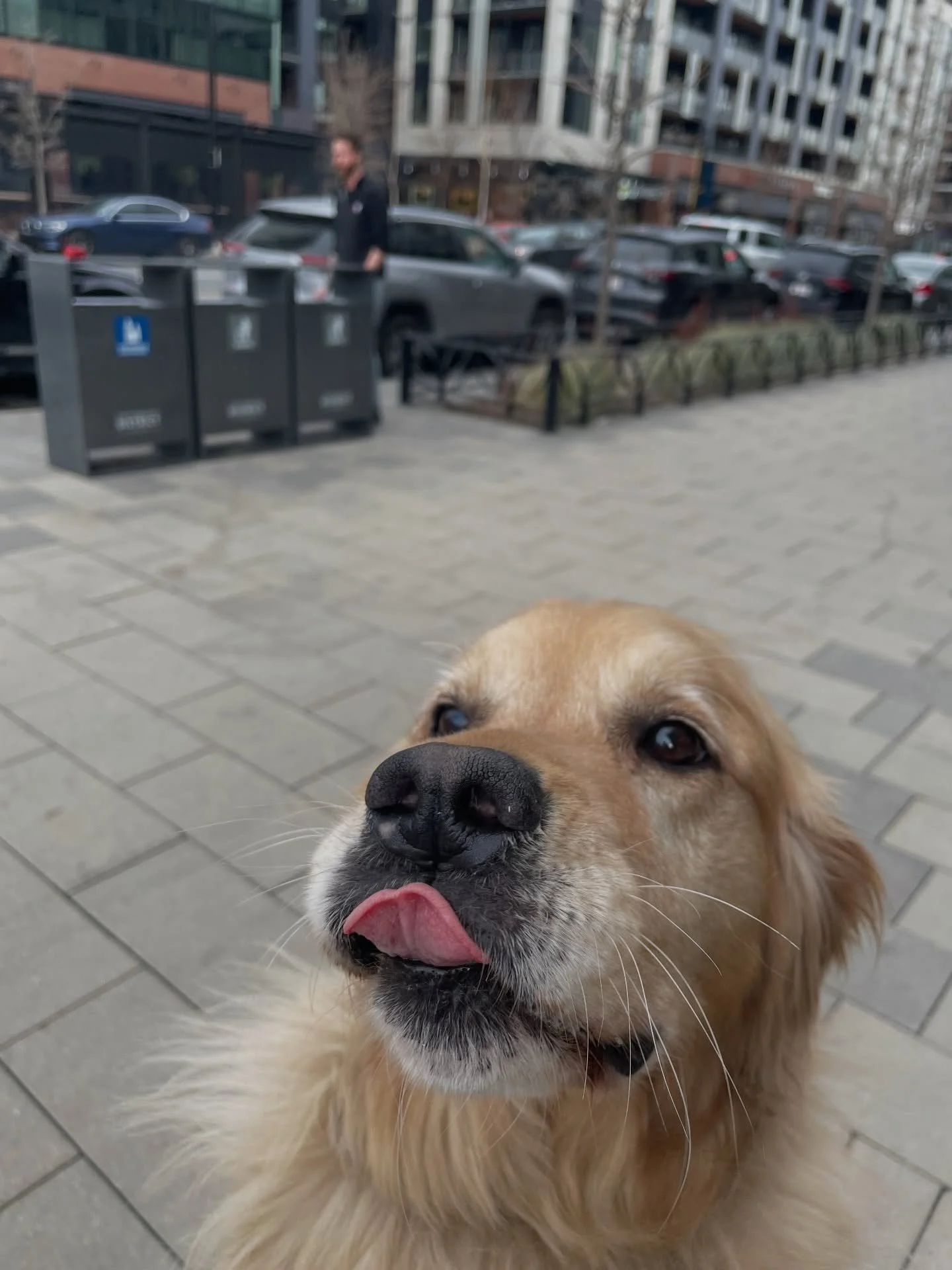 ❄️ NOVEMBER ❄️

I can&rsquo;t believe November is already over!!

These monthly recap posts are such a great way to reflect on the last month with gratitude, especially during times of high stress and anxiety. There were so many great moments over th